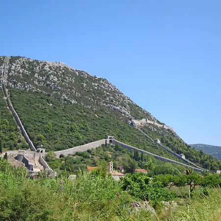 Apartment Ivona Mit Terrasse Und Aussendusche By Interhome Dubrovnik